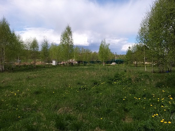 Участок СНТ Ближнево  Дмитровский район