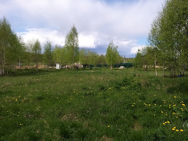 Участок СНТ Ближнево  Дмитровский район