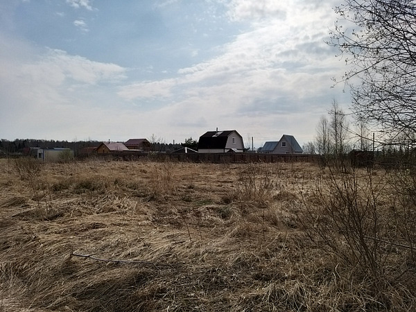 Участок Талдомский район с.Новоникольское СНТ Огородник